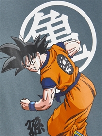 NAME IT Dragonball T-shirt Arly Stormy Weather